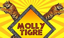Tigre Molly
