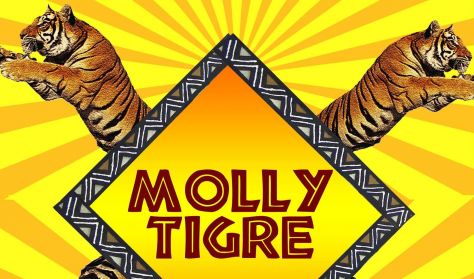 Tigre Molly 