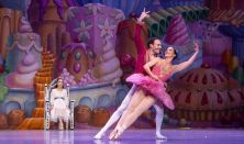 Nutcracker Ballet