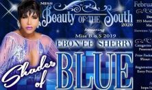 2nd Annual Miss Beauty of the South