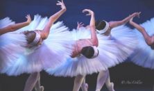 Dance Alive Ballet – Loveland