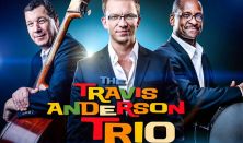 Travis Anderson Trio