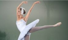 Swan Lake by Dance Alive National Ballet