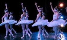 Swan Lake by Dance Alive National Ballet